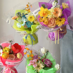 Bright Colored Floristry Tissue Paper Sheets Pack 20 (50x70cm)
